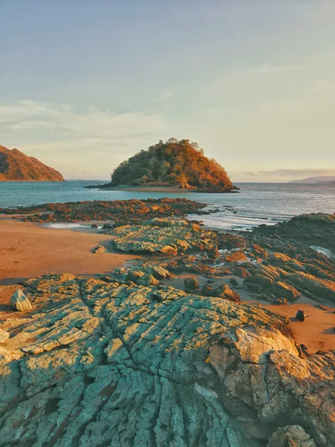 Beach Coral Formations